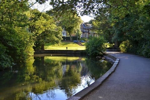 endcliffe park 2