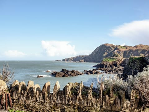 Surrounding area | Bullen’s Rock, Ilfracombe