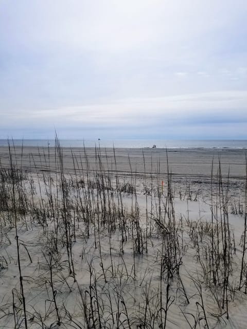 As you exit the dunes, this is your view of the beach! So much space!