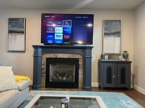 Smart TV, fireplace, books