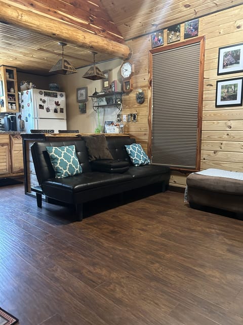 FUTON COUCH IN LIVING ROOM