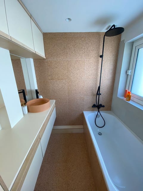 Combined shower/tub, hair dryer, towels, soap