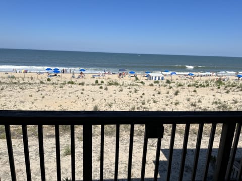 On the beach, sun loungers