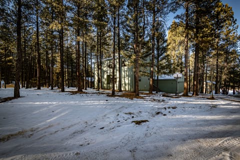 Spacious Angel Fire Cabin Near Skiing, Hiking, and Fishing Cabin in Angel Fire