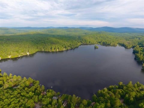 Aerial view of Perkins Pond