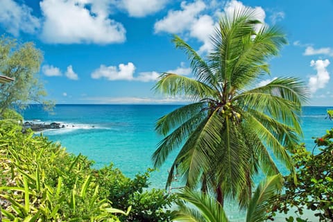 Beach nearby, sun loungers, beach towels