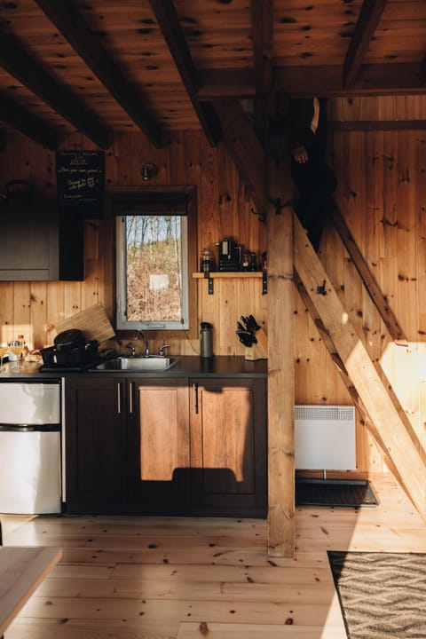 Fridge, oven, stovetop, coffee/tea maker