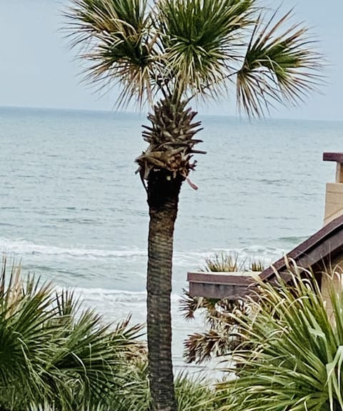 Beach nearby, beach towels