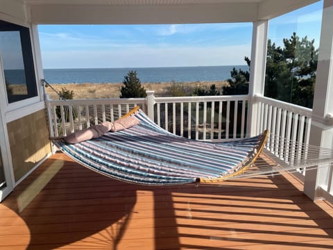 peaceful hammock views