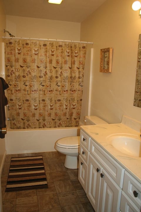 Combined shower/tub, towels