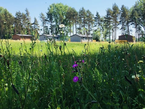 Lodges in Wildflowers