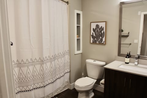 Combined shower/tub, hair dryer, towels