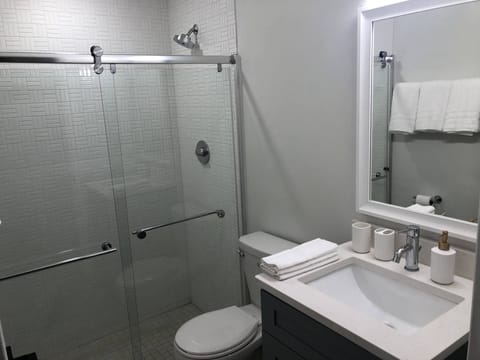 Combined shower/tub, hair dryer, towels, soap