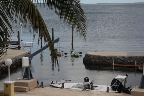 Sun loungers, beach towels