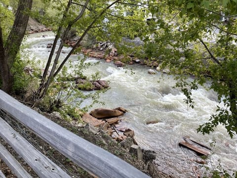 In the back of the building we have our amazing Uncompahgre River.