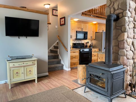 TV, fireplace, books