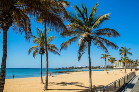 Beach nearby, beach towels