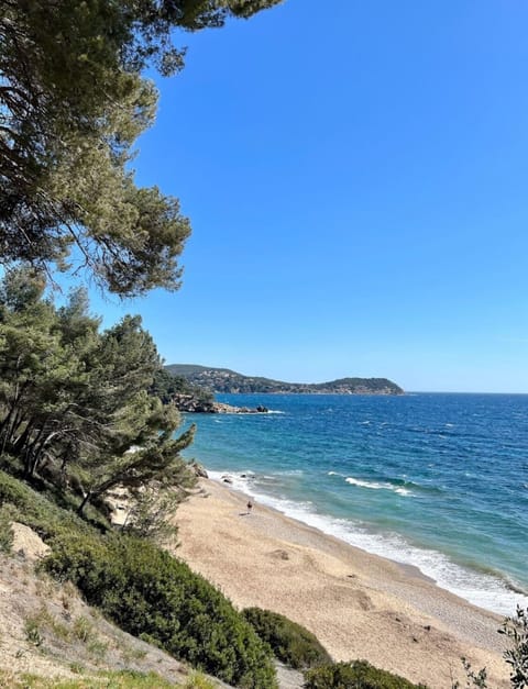 Beach nearby, sun loungers