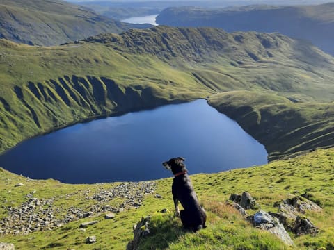 Surrounding area | Haweswater Cottage, Bampton near Penrith