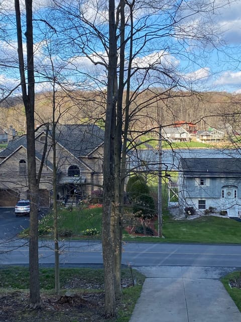 View of the lake from deck.