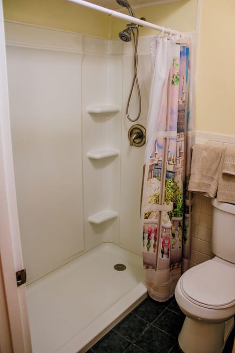 Combined shower/tub, hair dryer, towels, soap