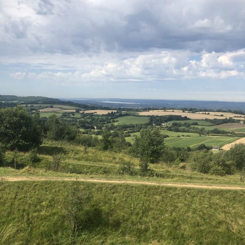 View from Painswick Beacon