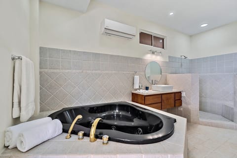 Shower, jetted tub, hair dryer, towels