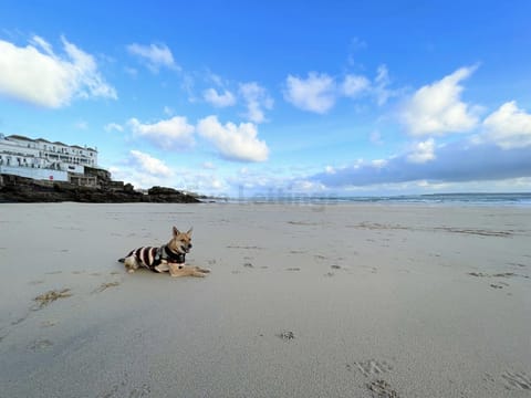 On the beach