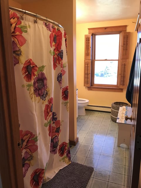 Combined shower/tub, hair dryer, towels, shampoo