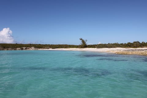 Beach nearby, sun loungers, beach towels