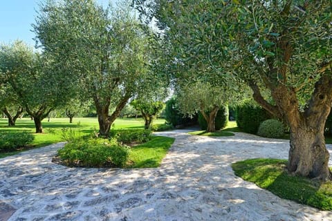 Immaculately kept gardens