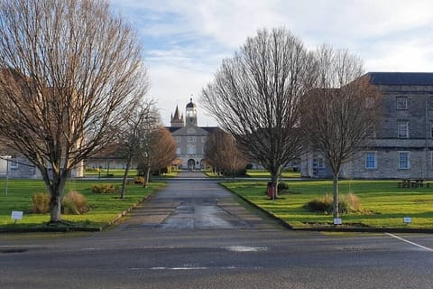 The Millfileds landscaped gardens.