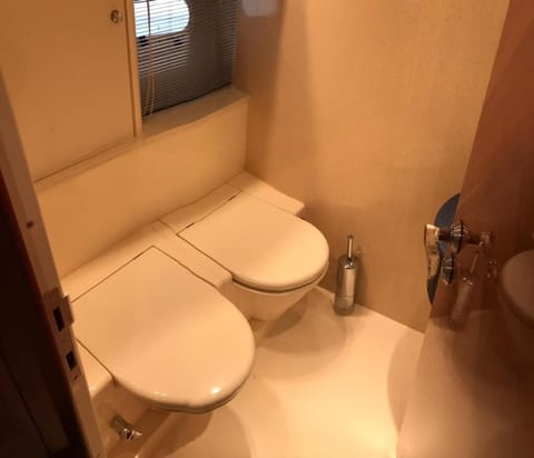 Combined shower/tub, bidet, toilet paper