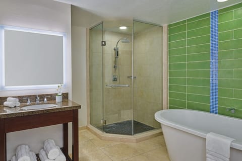 Combined shower/tub, jetted tub, hair dryer, towels