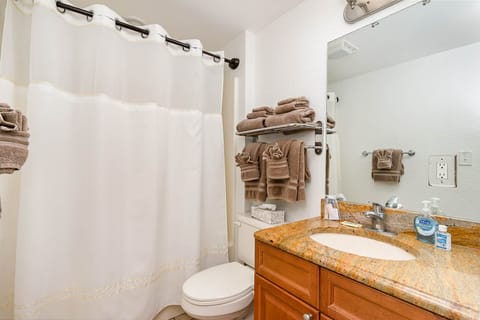 Bathtub, hair dryer, bidet, towels