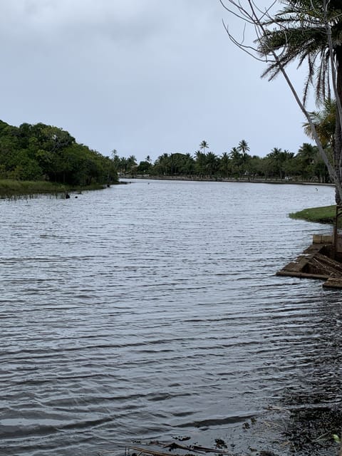 Beach nearby, sun loungers, beach towels