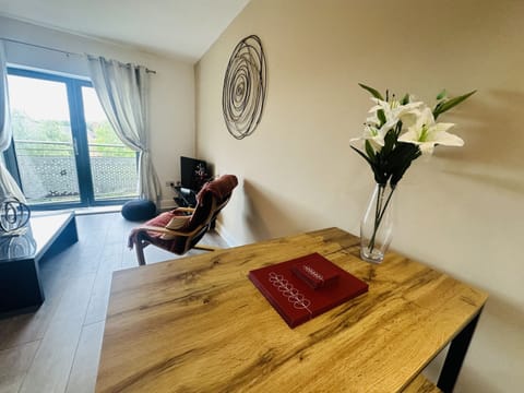 Living Room / Lounge