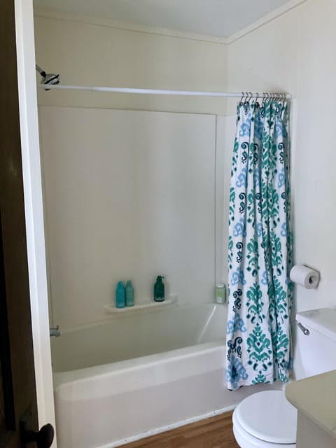 Combined shower/tub, hair dryer, towels, soap