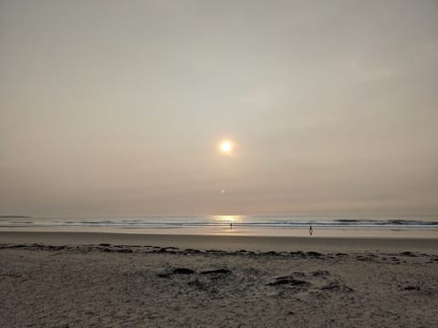 Beach nearby, sun loungers, beach towels