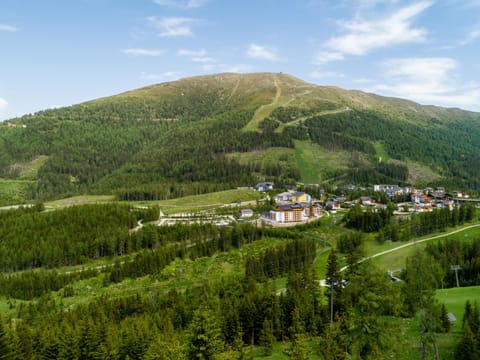 Immediate Surroundings [summer] (&lt;1 km)