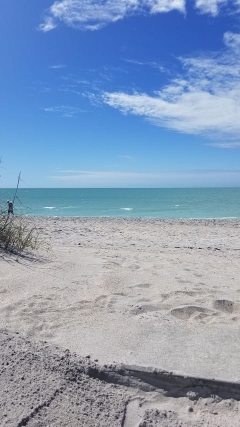 Beach nearby, sun loungers