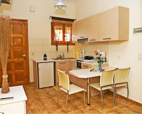 One example of an Apartment's kitchen
