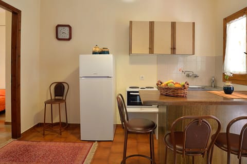Another example of an Apartment's kitchen