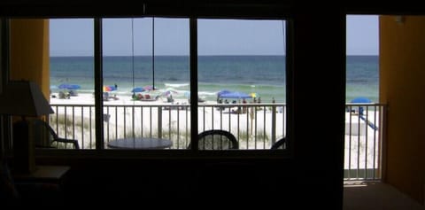 Looking out the Living Room Window