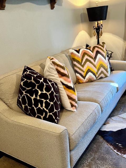 Living Room with queen size sleeper sofa