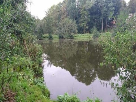 Region [summer] (>5 km)