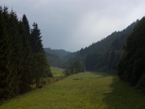 Surroundings [summer] (1-5 km)