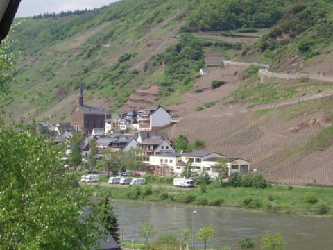 Region [summer] (>5 km)