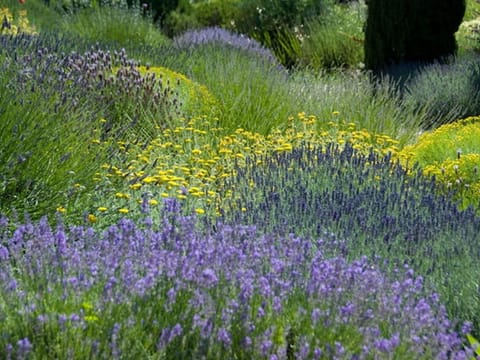 Region [summer] (>5 km)