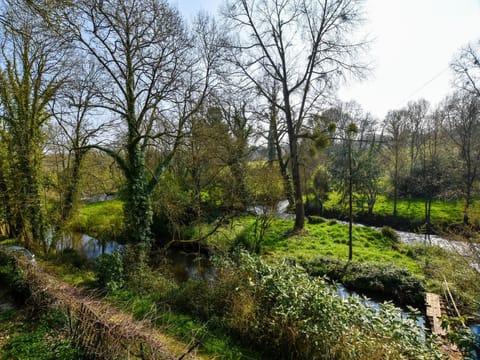 View from Holiday Home [summer]